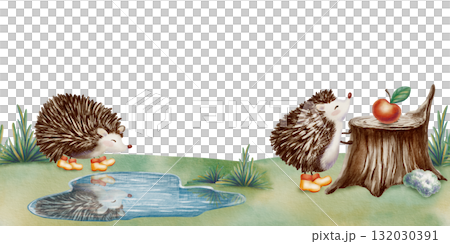 Cute forest hedgehog in a seamless border,admiring its reflection,reaching for an apple on a stump in an autumn meadow.Hand drawn illustrations in watercolor and colored pencils,in childlike style Cute forest hedgehog in a seamless border,admiring its reflection,reaching for an apple on a stump in an autumn meadow.Hand drawn illustrations in watercolor and colored pencils,in childlike style 132030391