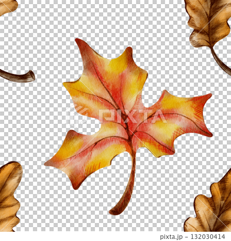 Seamless autumn pattern of maple and oak leaves,symbolizing leaf fall,harvest,and the withering of nature.Hand drawn watercolor and colored pencils illustrations Seamless autumn pattern of maple and oak leaves,symbolizing leaf fall,harvest,and the withering of nature.Hand drawn watercolor and colored pencils illustrations 132030414