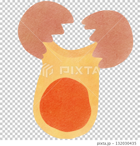 Egg Egg 132030435