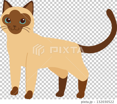 a siamese cat standing. for animal lovers posters and pet store branding 132030522