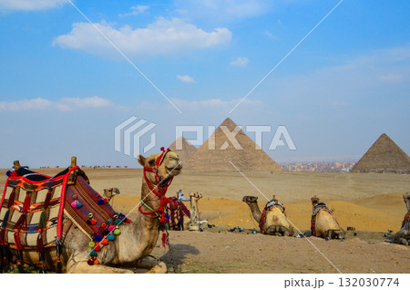 ギザの三大ピラミッドとラクダ 132030774
