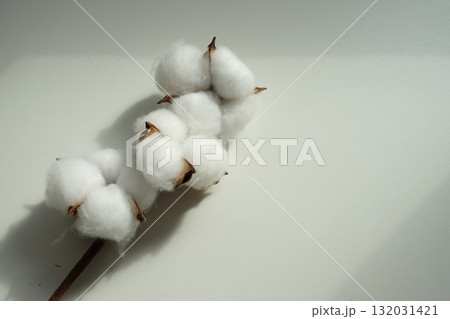 コットンフラワー コットンフラワー 132031421