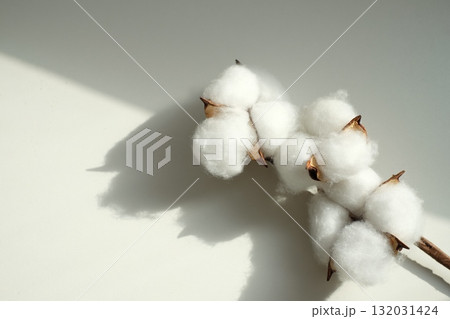 コットンフラワー 132031424