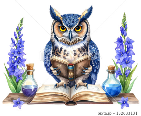 研究者の賢いフクロウ 132033131