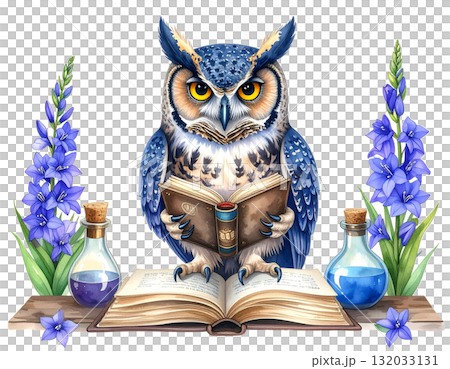 研究者の賢いフクロウ 132033131