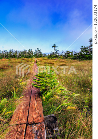 高原湿原の道 ― Matsuyama Highland Marsh ― 132033174