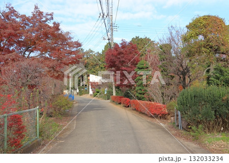 秋の植木の里・安行にて（埼玉県川口市） 132033234