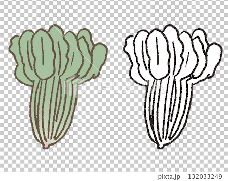 手繪菠菜 手繪菠菜 132033249