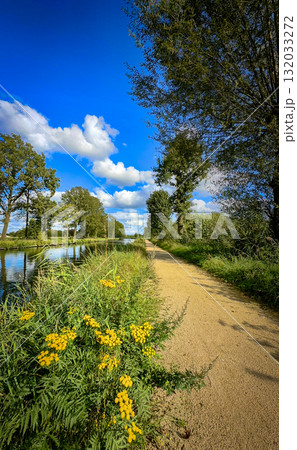 A Serene Pathway Along the Water, Adorned with Vibrant Yellow Flowers, Awaits You Here A Serene Pathway Along the Water, Adorned with Vibrant Yellow Flowers, Awaits You Here 132033272