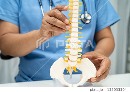 Doctor with lumbar vertebra bone skeleton and nerve model for treatment in the orthopedic department. 132033394