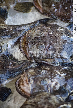 魚介類 シーフード 海の幸 132033414