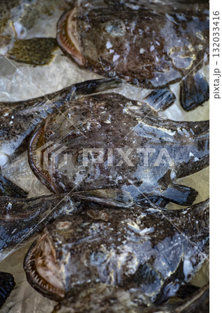 魚介類 シーフード 海の幸 132033416