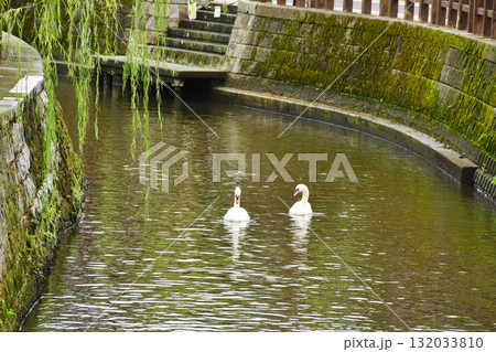 佐原の小野川街並みと鵞鳥_02 132033810