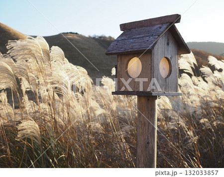ススキと灯籠のある風景 ススキと灯籠のある風景 132033857