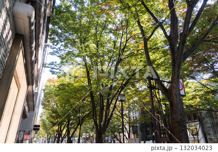 原宿　表参道　並木道　楽しくショッピング　東京都渋谷区 132034023