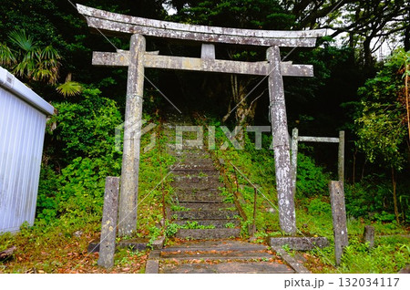 鹿島神社　鹿嶋神社　田代島　猫の島　ネコ　大泊港 132034117