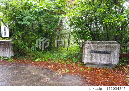 石巻市立田代小学校　田代島　猫の島　ネコ 132034245