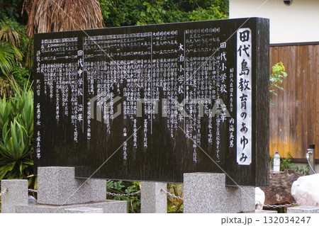 田代島教育のあゆみ　石巻市立田代小学校　田代島　猫の島　島のえき　ネコ 132034247