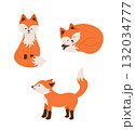 Funny fox characters in different poses. Vector illustration, a set of forest fox cubs icons. 132034777