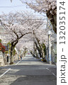 桜トンネル 132035174