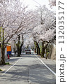 桜トンネル 132035177