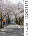 桜トンネル 132035178