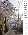 坂道桜並木 132035179