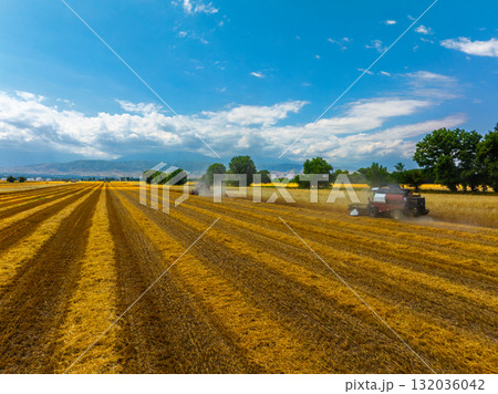 Combine harvesters working in sunny agricultural field Combine harvesters working in sunny agricultural field 132036042
