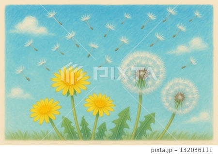 タンポポ 青空 水彩画 タンポポ 青空 水彩画 132036111