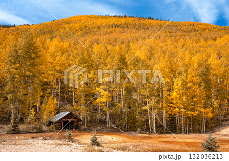 Wooden cottage with stunning yellow aspen trees on the mountain during fall foliage in Colorado Wooden cottage with stunning yellow aspen trees on the mountain during fall foliage in Colorado 132036213