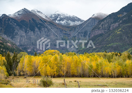 Beautiful scenery of snowcapped mountain and yellow aspen during fall foliage in Telluride, Colorado 132036224