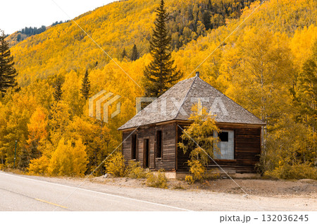 Wooden cottage near by the road with stunning yellow aspen trees on the mountain during fall foliage 132036245