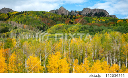 Colorful fall foliage of Kebler pass, a scenic mountain pass in the Rocky Mountains, Colorado, USA Colorful fall foliage of Kebler pass, a scenic mountain pass in the Rocky Mountains, Colorado, USA 132036263