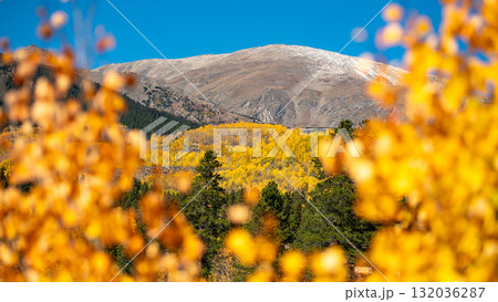 Beautiful fall foliage scenery in Colorado, United States 132036287