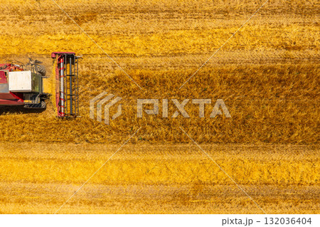 Combine harvester working in serene agricultural field during day 132036404