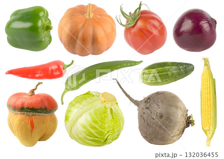 Assorted vegetables including bell pepper, pumpkin, tomato, onion, chili, cucumber, corn, squash, cabbage, and beetroot arranged on white background 132036455