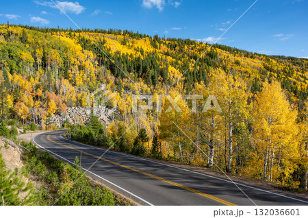 Scenic road with autumn scenery of yellow aspen at Rocky Mountain National Park in Colorado, USA. 132036601