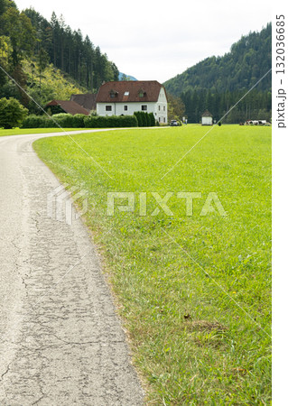 Path Through Green Meadow with Forest in the Background and Beautiful House Path Through Green Meadow with Forest in the Background and Beautiful House 132036685