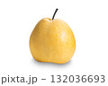Side view of single ripe sweet chinese pear isolated on white background. 132036693