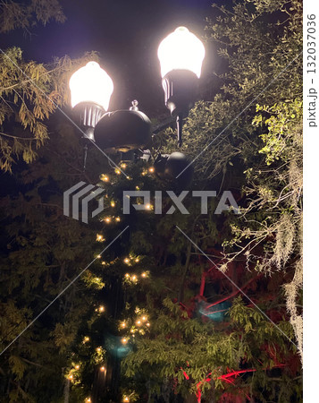 A tall street lamp glows brightly with small decorative lights and greenery. The warm holiday scene contrasts with the dark sky and surrounding trees. A tall street lamp glows brightly with small decorative lights and greenery. The warm holiday scene contrasts with the dark sky and surrounding trees. 132037036