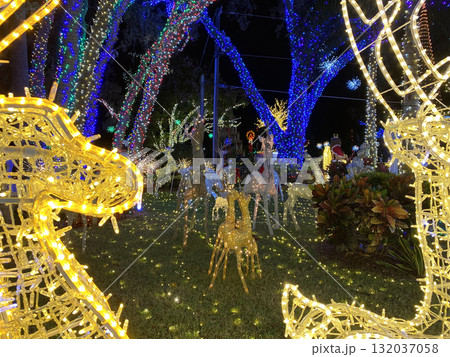 Golden reindeer figures glow among trees wrapped in blue and red lights. The illuminated garden radiates warmth, color, and cheerful holiday spirit. 132037058