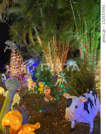 A garden full of glowing animal figures shines with bright lights. The playful display brings joy and a fun holiday feeling. 132037091