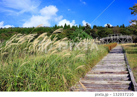 日本一の枕木階段（鹿児島県湧水町） 132037210