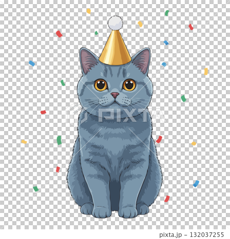 Cute British Shorthair cat in a party hat with confetti Cute British Shorthair cat in a party hat with confetti 132037255