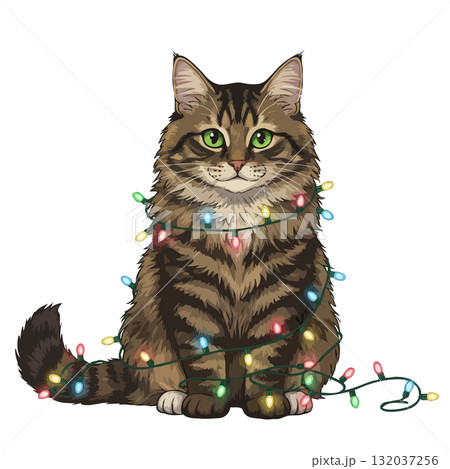 Cute Maine Coon cat tangled in colorful Christmas lights Cute Maine Coon cat tangled in colorful Christmas lights 132037256