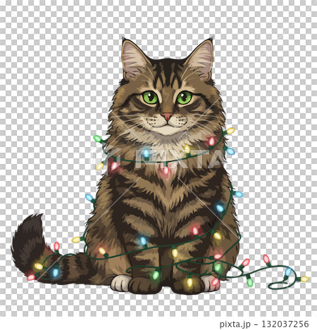 Cute Maine Coon cat tangled in colorful Christmas lights Cute Maine Coon cat tangled in colorful Christmas lights 132037256