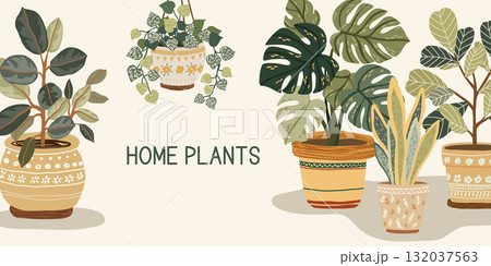 Horizontal botanical banner with home plants 132037563