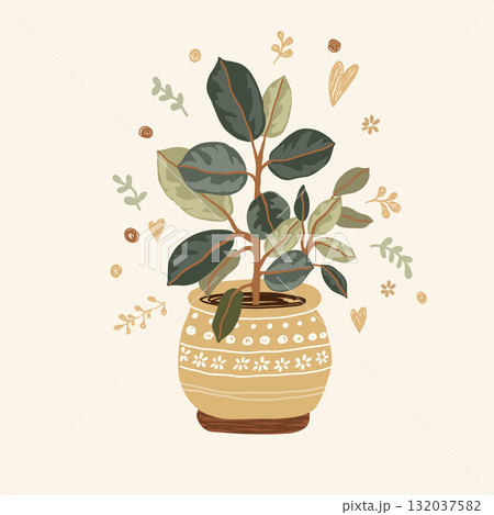 botanical illustration of a rubber plant  132037582