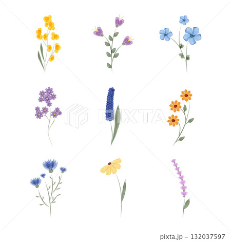Nine individual watercolor flower illustrations, each a different species and color, are neatly arranged on a white background. Floral elements are isolated and presented. Nine individual watercolor flower illustrations, each a different species and color, are neatly arranged on a white background. Floral elements are isolated and presented. 132037597