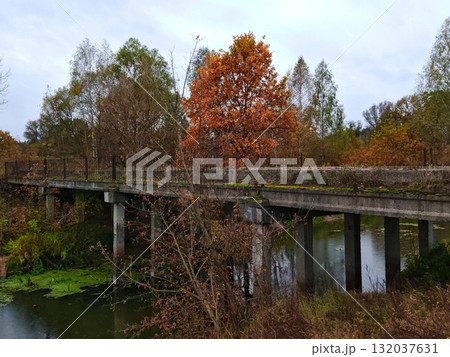 Autumn Landscape in a field with a river and trees with yellow leaves in rain. Autumn Bridge 132037631